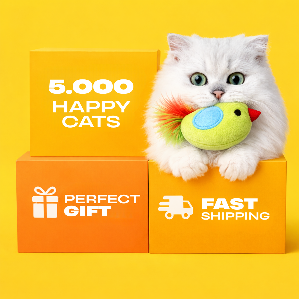😻THE AUTOMATIC YO-YO TOY THAT DRIVES CATS WILD