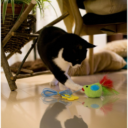 😻THE AUTOMATIC YO-YO TOY THAT DRIVES CATS WILD