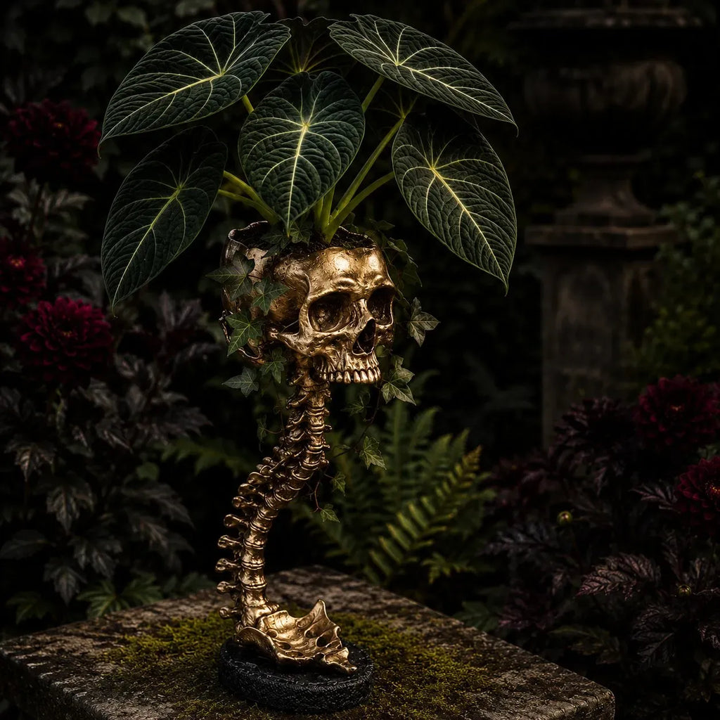 💥 Flash Sale 50% OFF 💀 Skull Planter Bold Decor for Plant Lovers