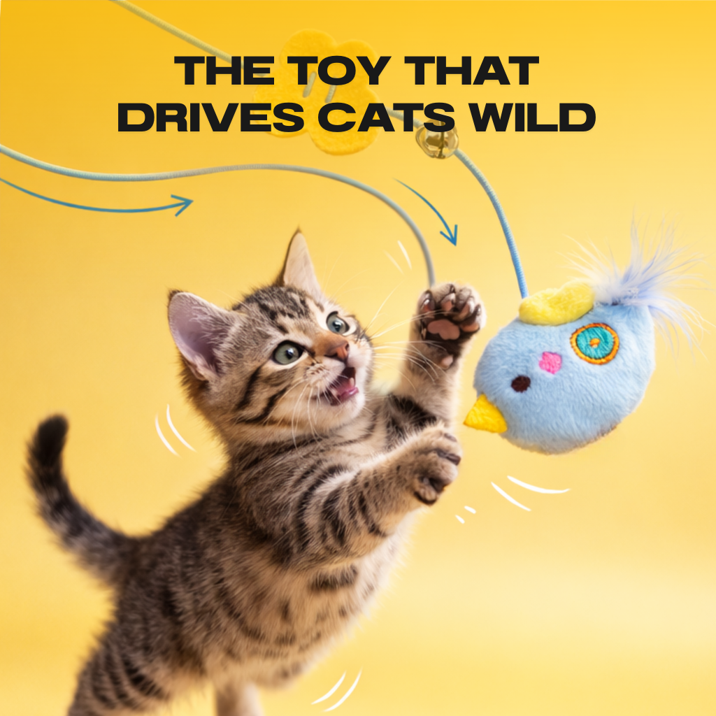 😻THE AUTOMATIC YO-YO TOY THAT DRIVES CATS WILD