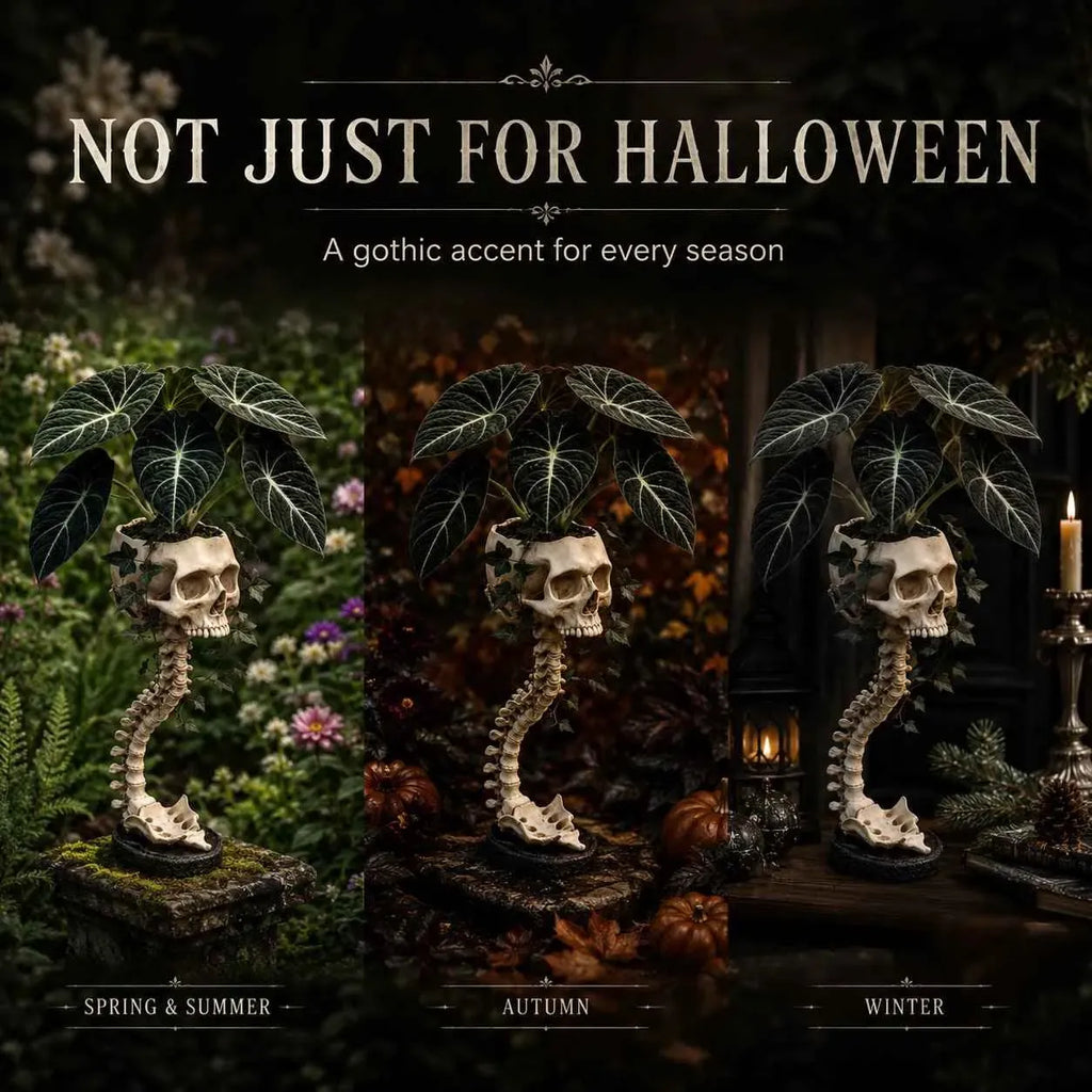 💥 Flash Sale 50% OFF 💀 Skull Planter Bold Decor for Plant Lovers