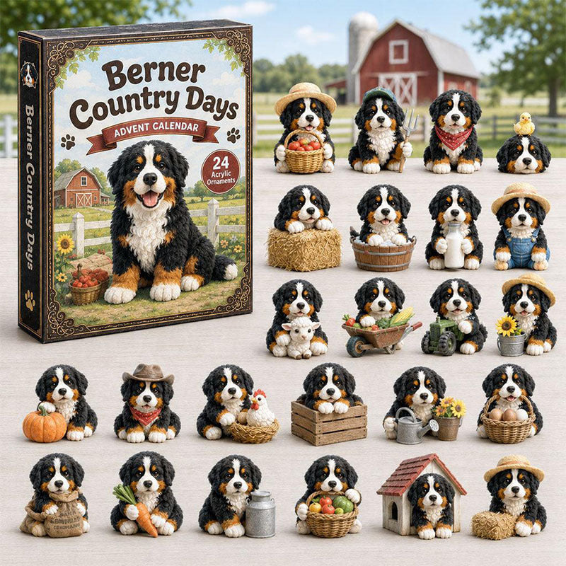 🎁24 Days Bernese Acrylic Ornament Advent Calendar