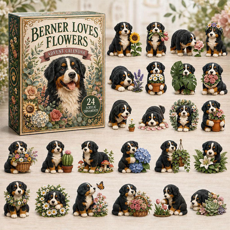 🎁24 Days Bernese Acrylic Ornament Advent Calendar