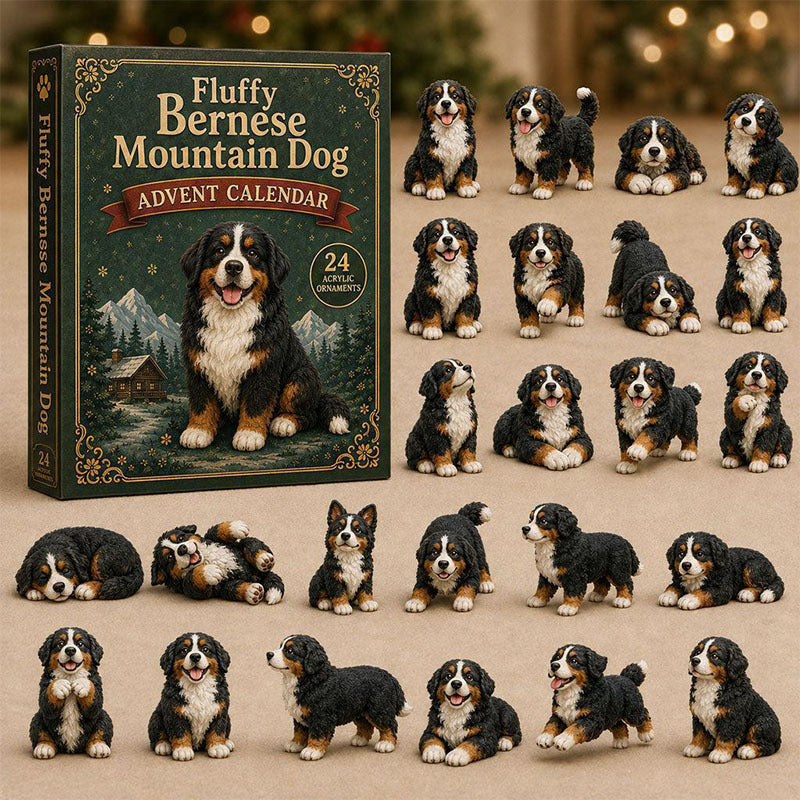 🎁24 Days Bernese Acrylic Ornament Advent Calendar