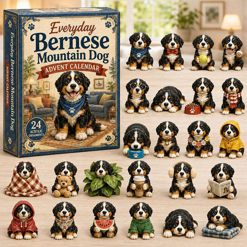 🎁24 Days Bernese Acrylic Ornament Advent Calendar