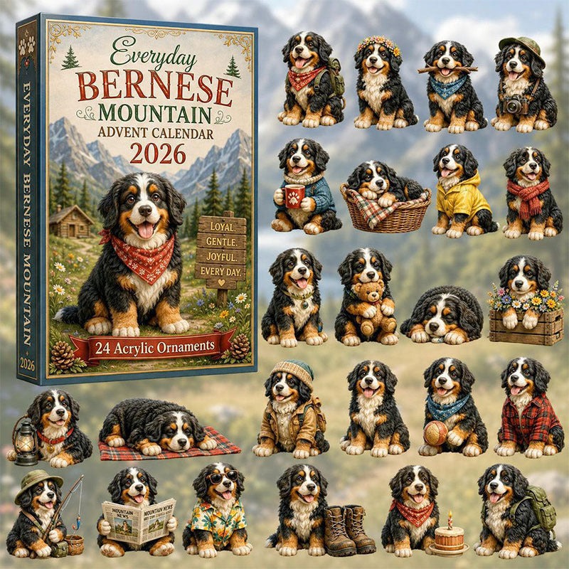 🎁24 Days Bernese Acrylic Ornament Advent Calendar