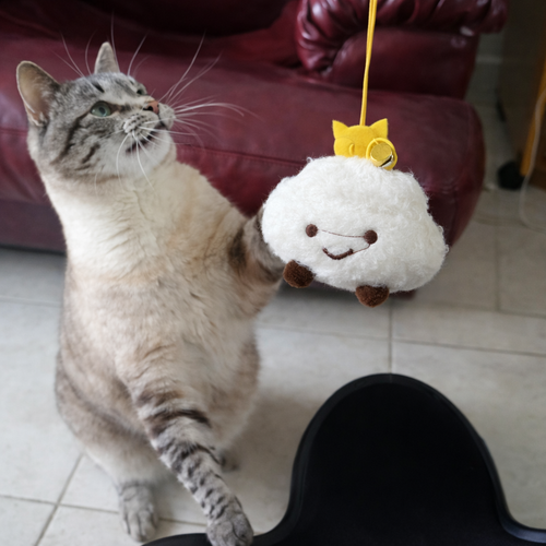 😻THE AUTOMATIC YO-YO TOY THAT DRIVES CATS WILD