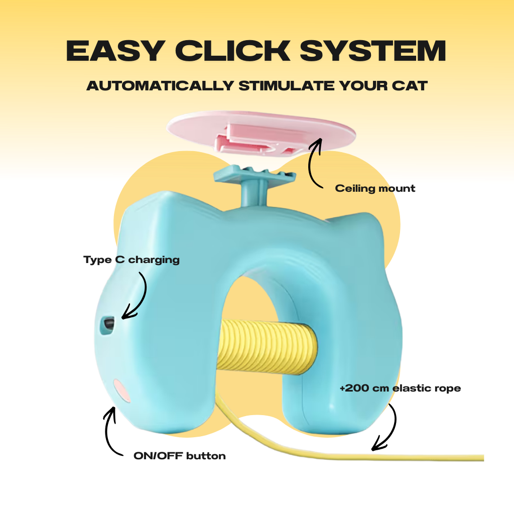😻THE AUTOMATIC YO-YO TOY THAT DRIVES CATS WILD