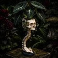 💥 Flash Sale 50% OFF 💀 Skull Planter Bold Decor for Plant Lovers